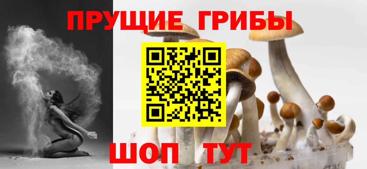 Каменка  Псилоцибиновые грибы мухоморы  Галлюциногенные грибы мухоморы  купить  сайты  Вход с VPN 